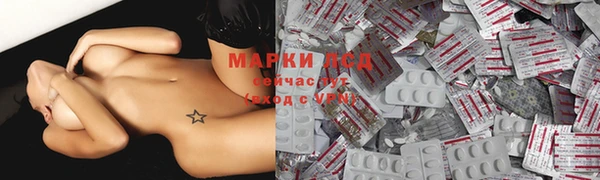 СК Касимов