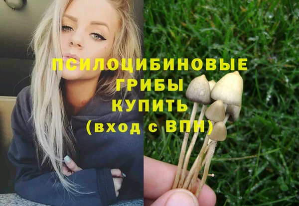 ПСИЛОЦИБИНОВЫЕ ГРИБЫ Долгопрудный