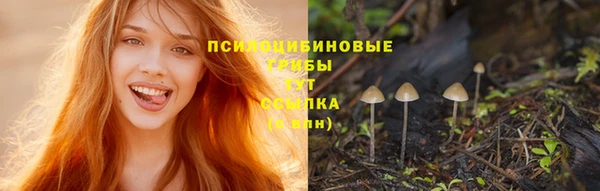 прущая мука Карпинск