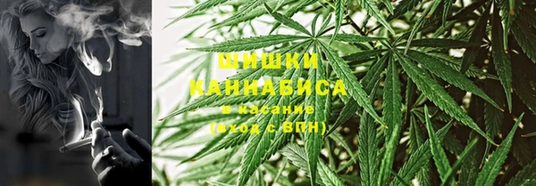 СК Касимов