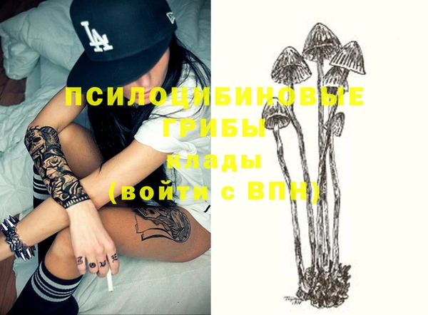 прущая мука Карталы