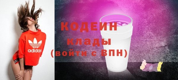 СК Касимов